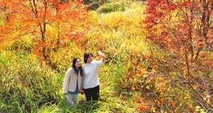 我省確定10地為文旅康養(yǎng)集聚區(qū)